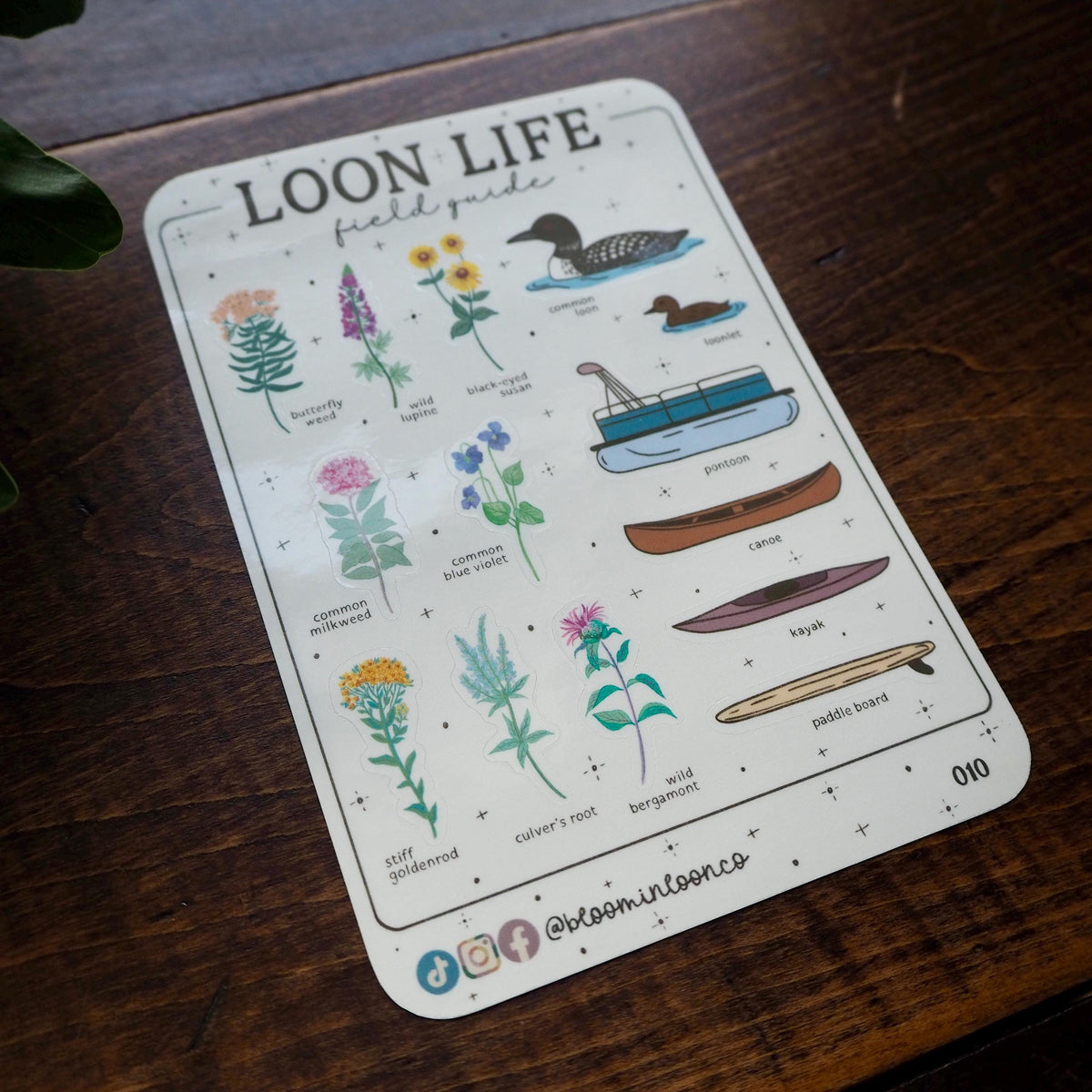 Loon Life Field Guide Sticker Sheet