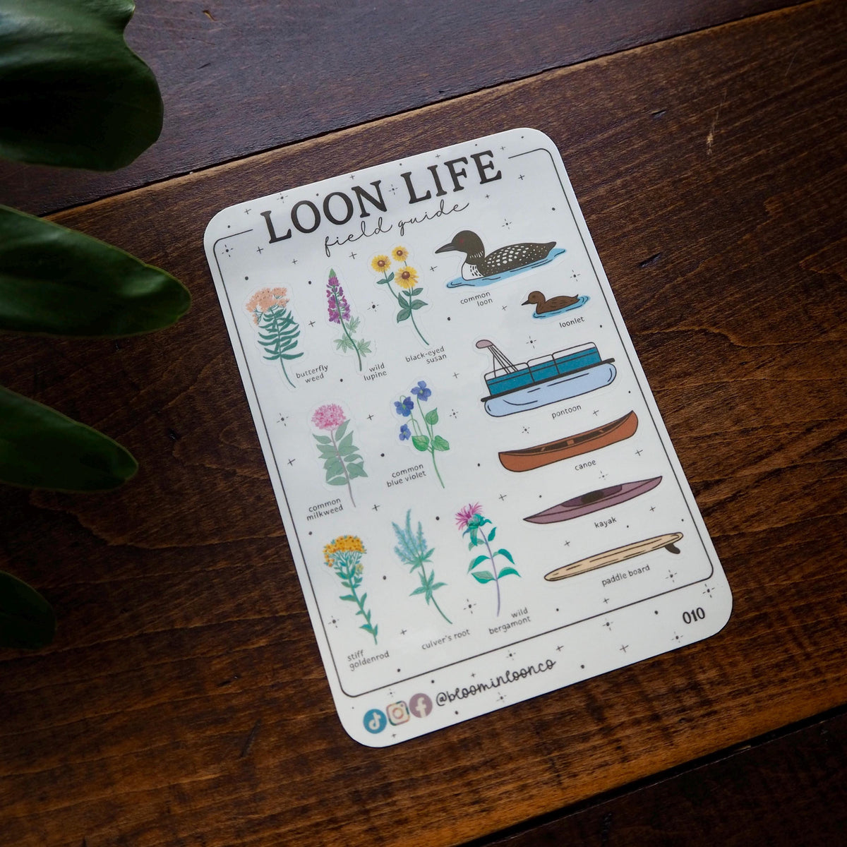 Loon Life Field Guide Sticker Sheet
