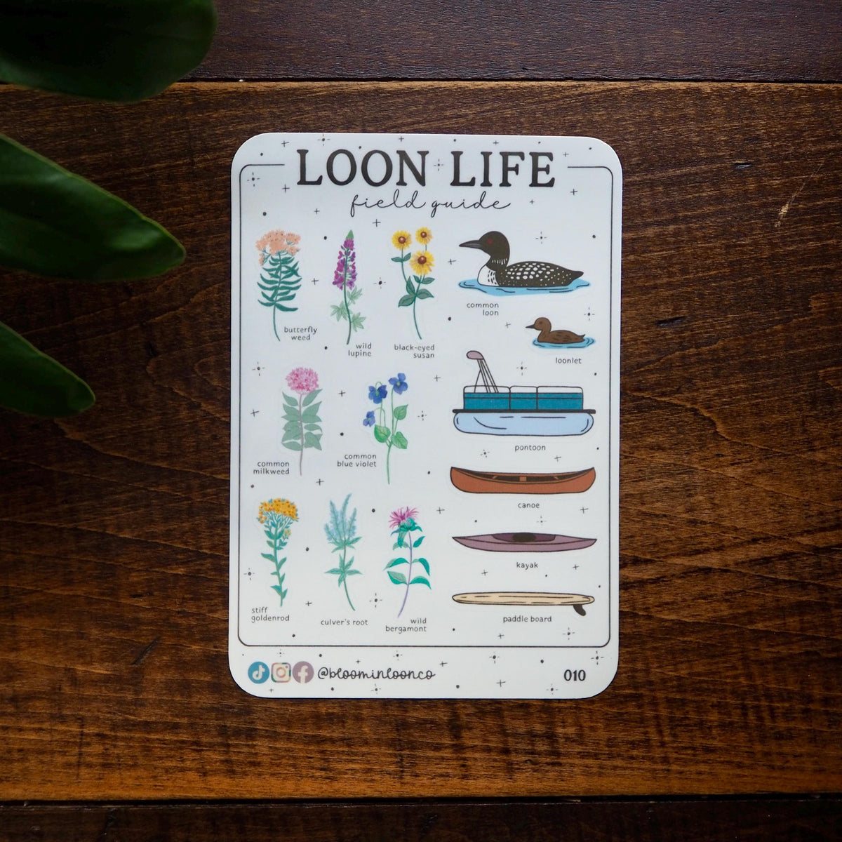 Loon Life Field Guide Sticker Sheet