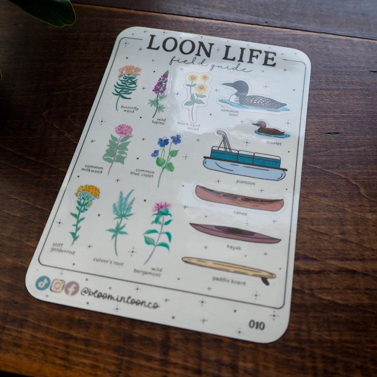 Loon Life Field Guide Sticker Sheet
