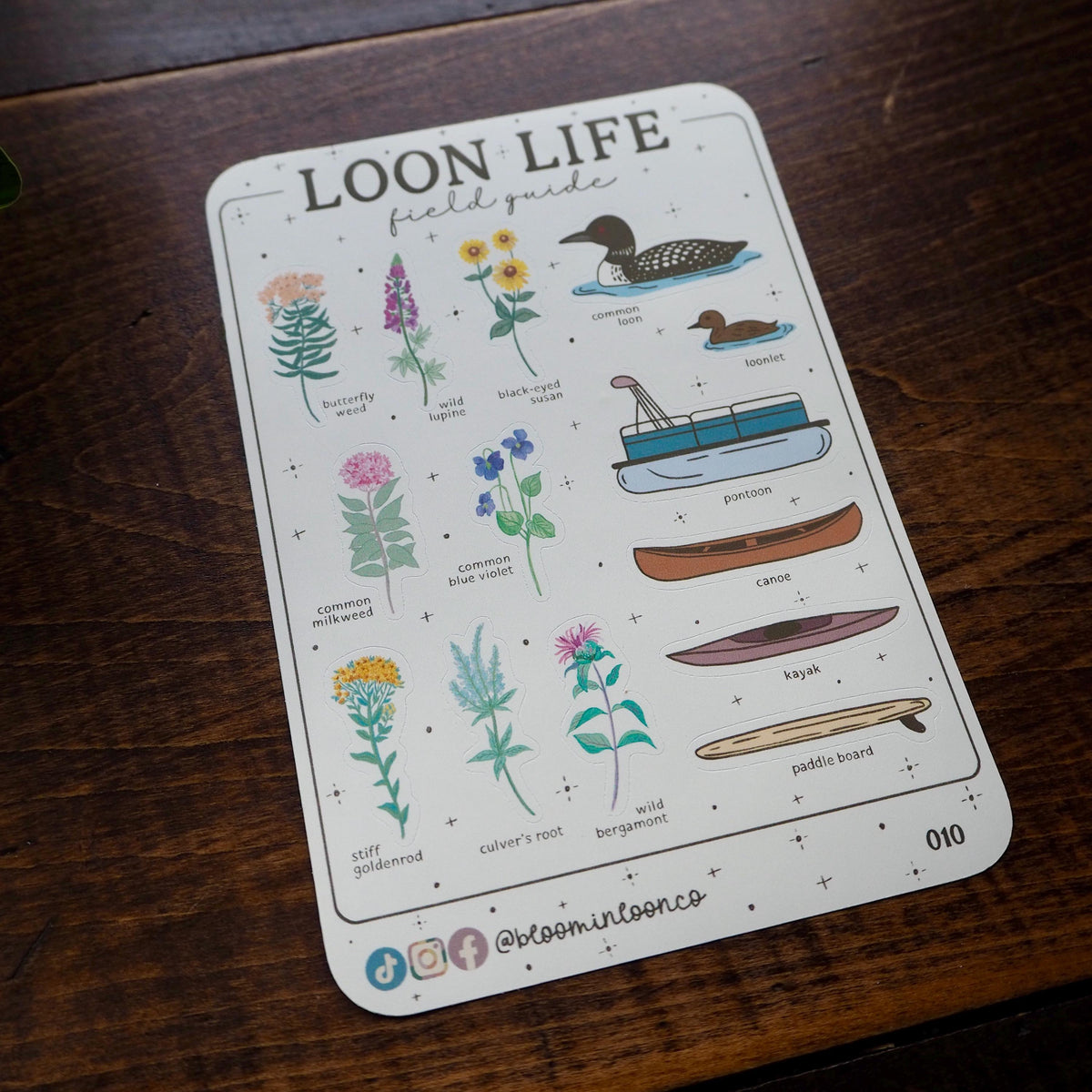 Loon Life Field Guide Sticker Sheet
