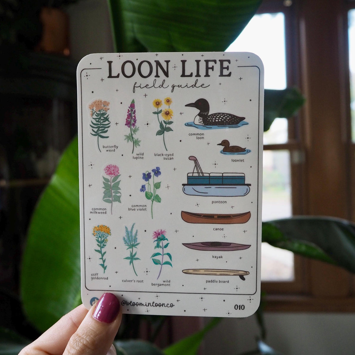 Loon Life Field Guide Sticker Sheet