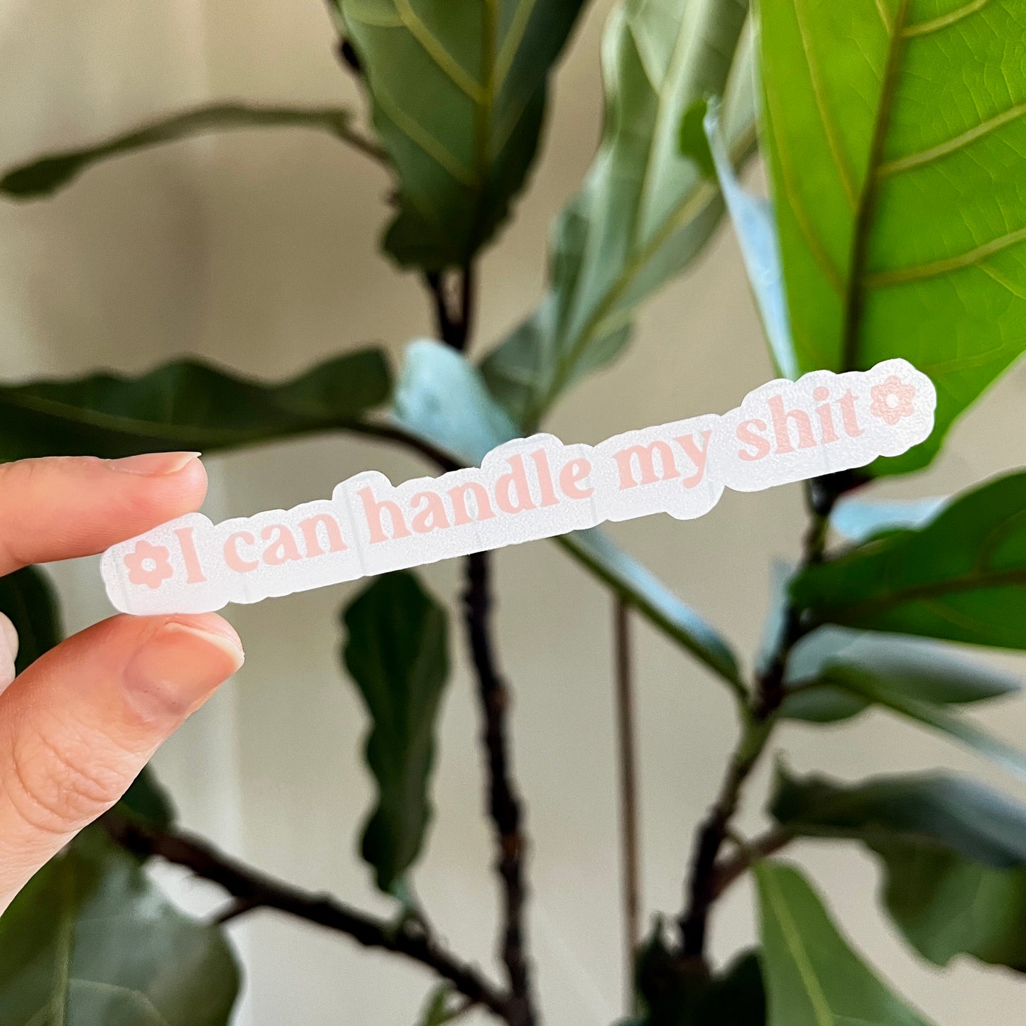 I Can Handle My Shit Vinyl Mirror Decal