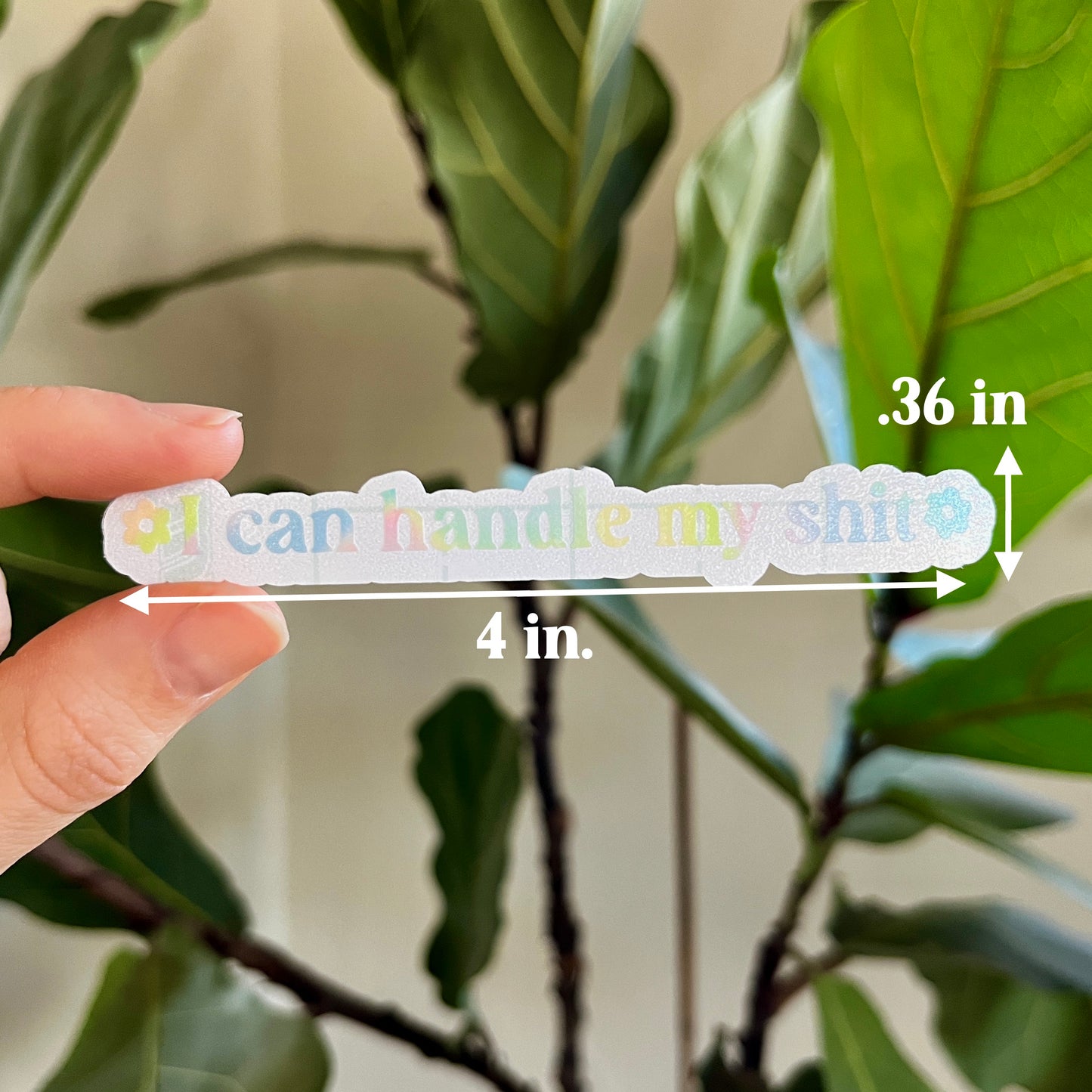 I Can Handle My Shit Vinyl Mirror Decal