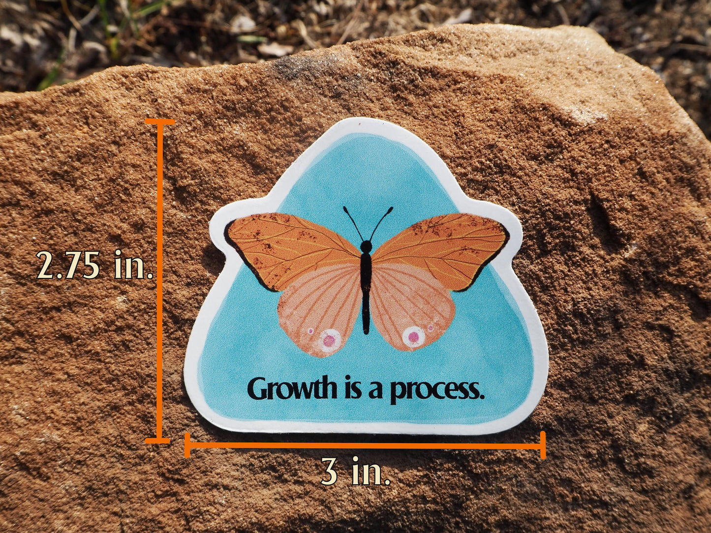Change Is A Beautiful Thing Butterfly Sticker Set