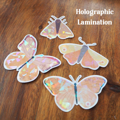 Orange Butterfly Holographic Sticker Pack