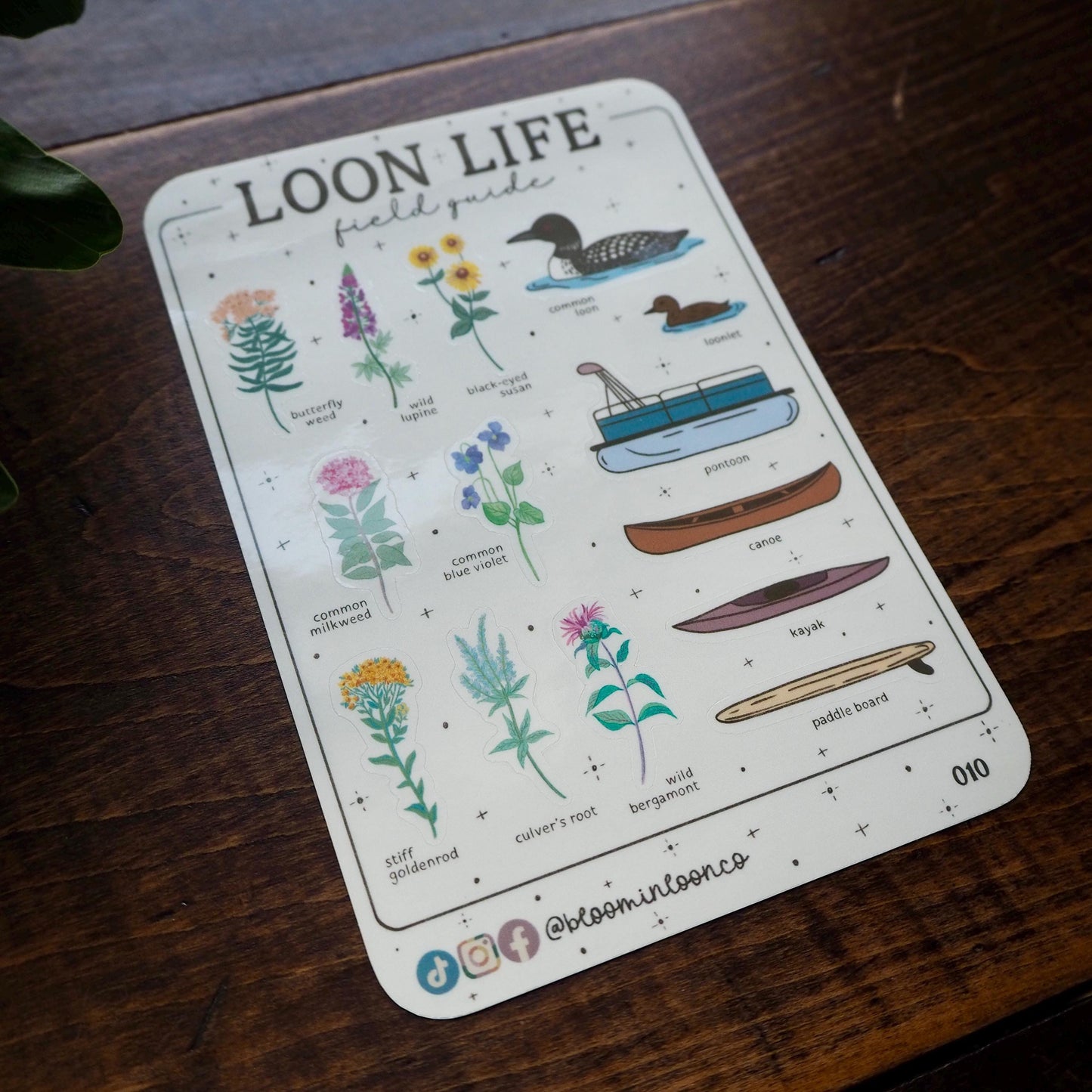 Loon Life Field Guide Sticker Sheet