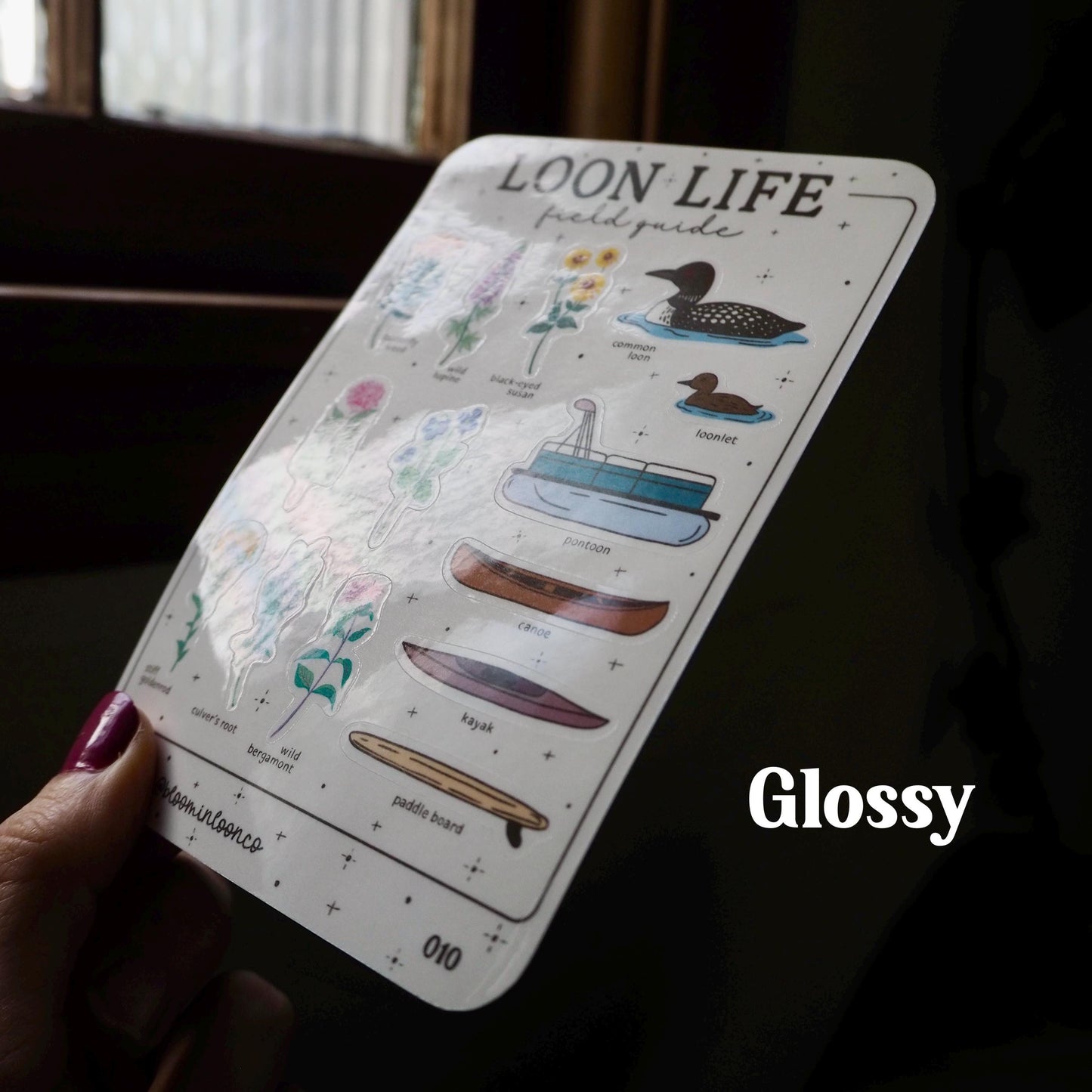 Loon Life Field Guide Sticker Sheet