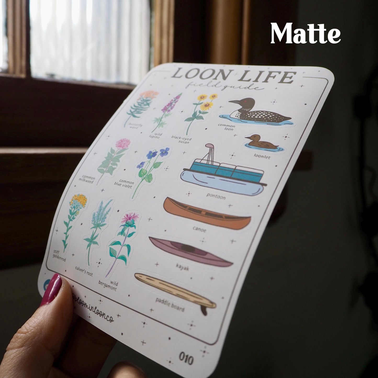 Loon Life Field Guide Sticker Sheet